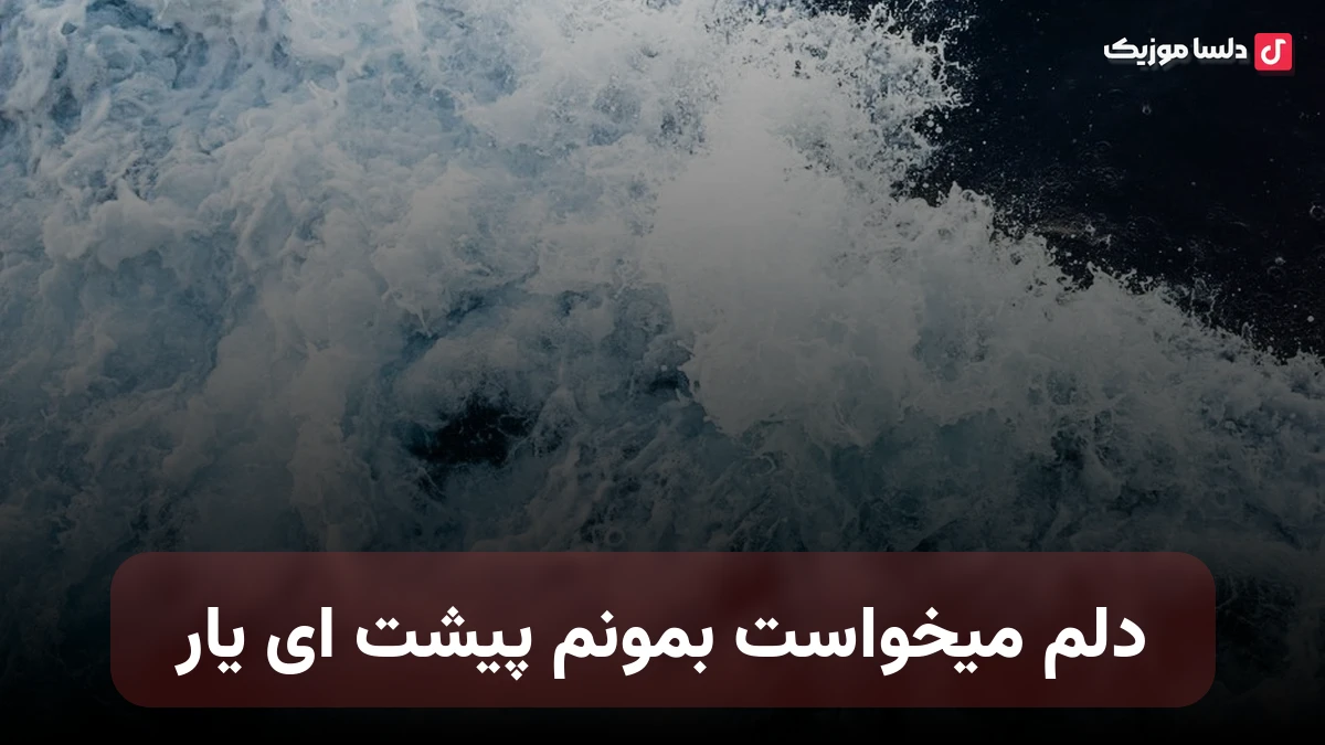 دلم میخواست بمونم پیشت ای یار